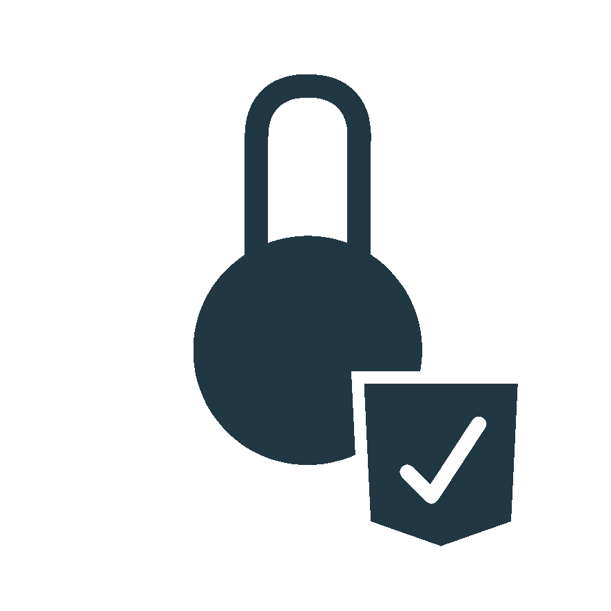 A padlock with a checkmark symbol on a shield, indicating security or safety.