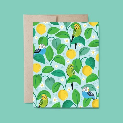 Colorful Budgies Blank Everyday Card