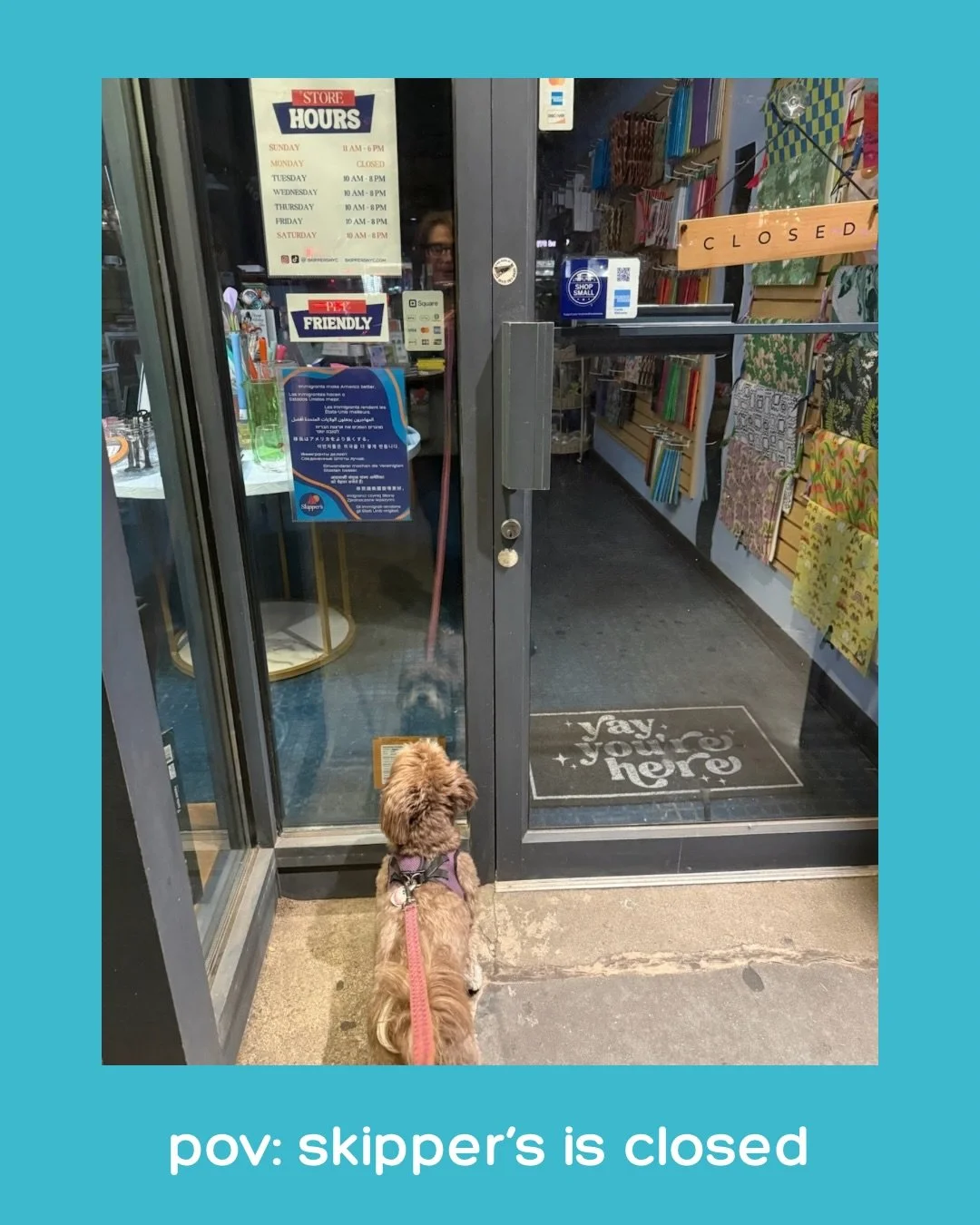 Don't worry! Skylar got her happy ending. 🐊

Thank you to our customer, Carla, for sharing her lovely pup with us 💕

#skippersnyc #petfriendlybusiness #petfriendly #morningsideheights dogsofnyc