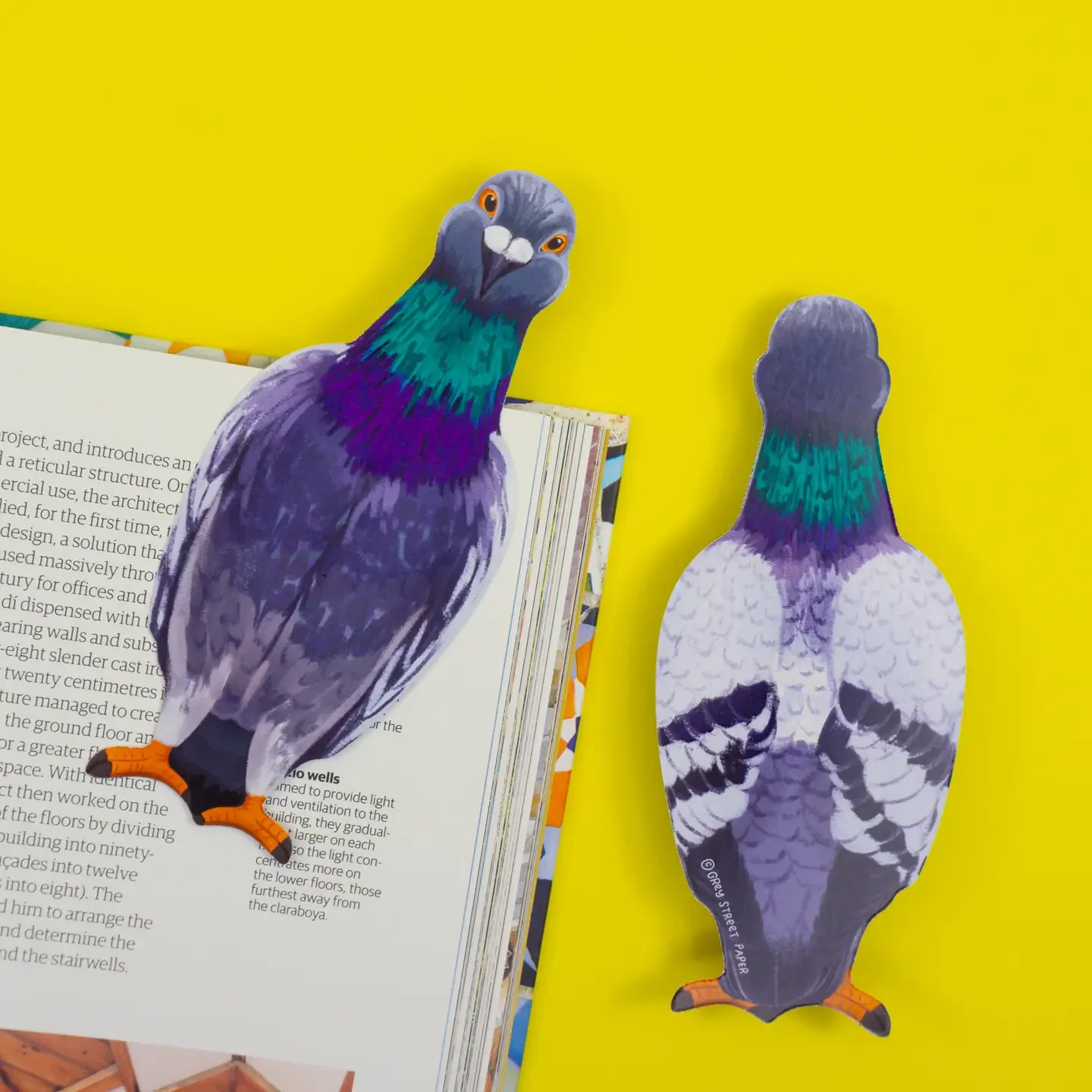 0b41331e51cfe18d1737eae5a3da7081b58dafff486d2472a7a1235c0f71bf68.jpeg.webp