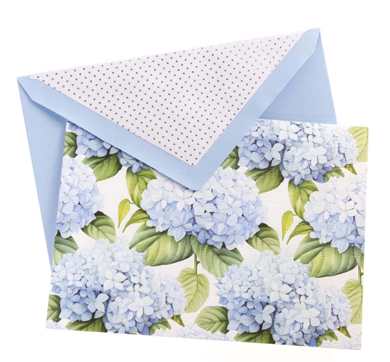 Graphique La Petite Presse Hortensia