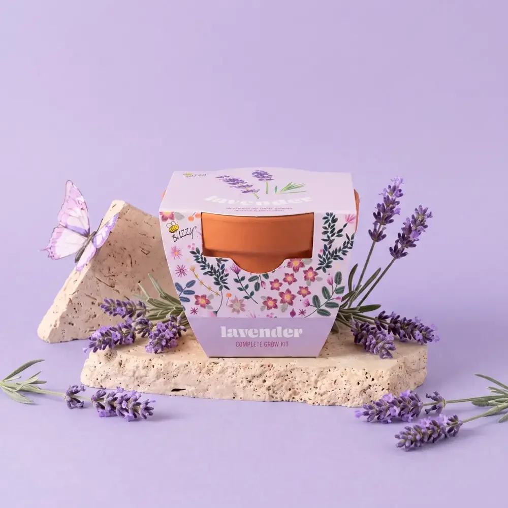 Classic Terracotta Lavender Grow Kit