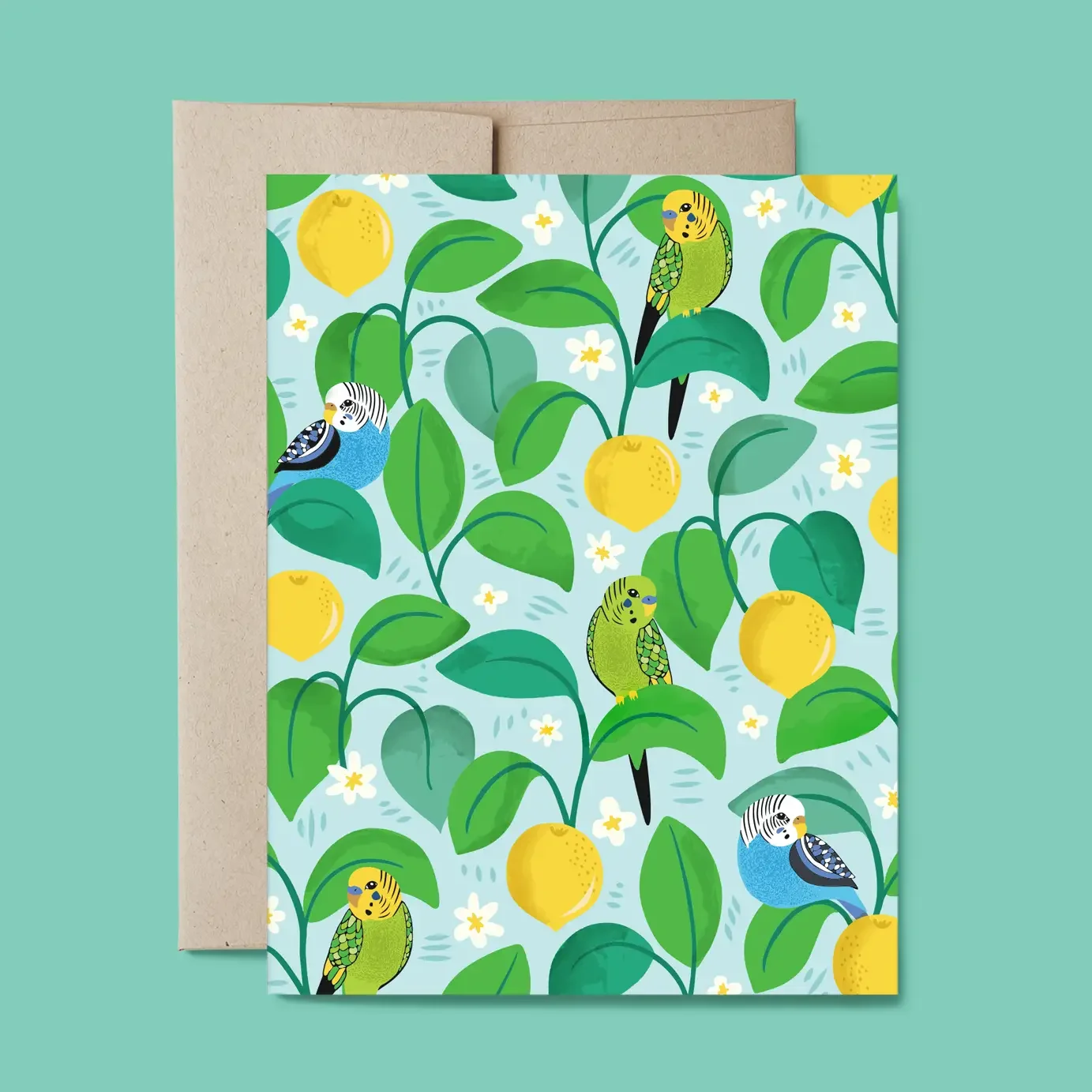 Colorful Budgies Blank Everyday Card