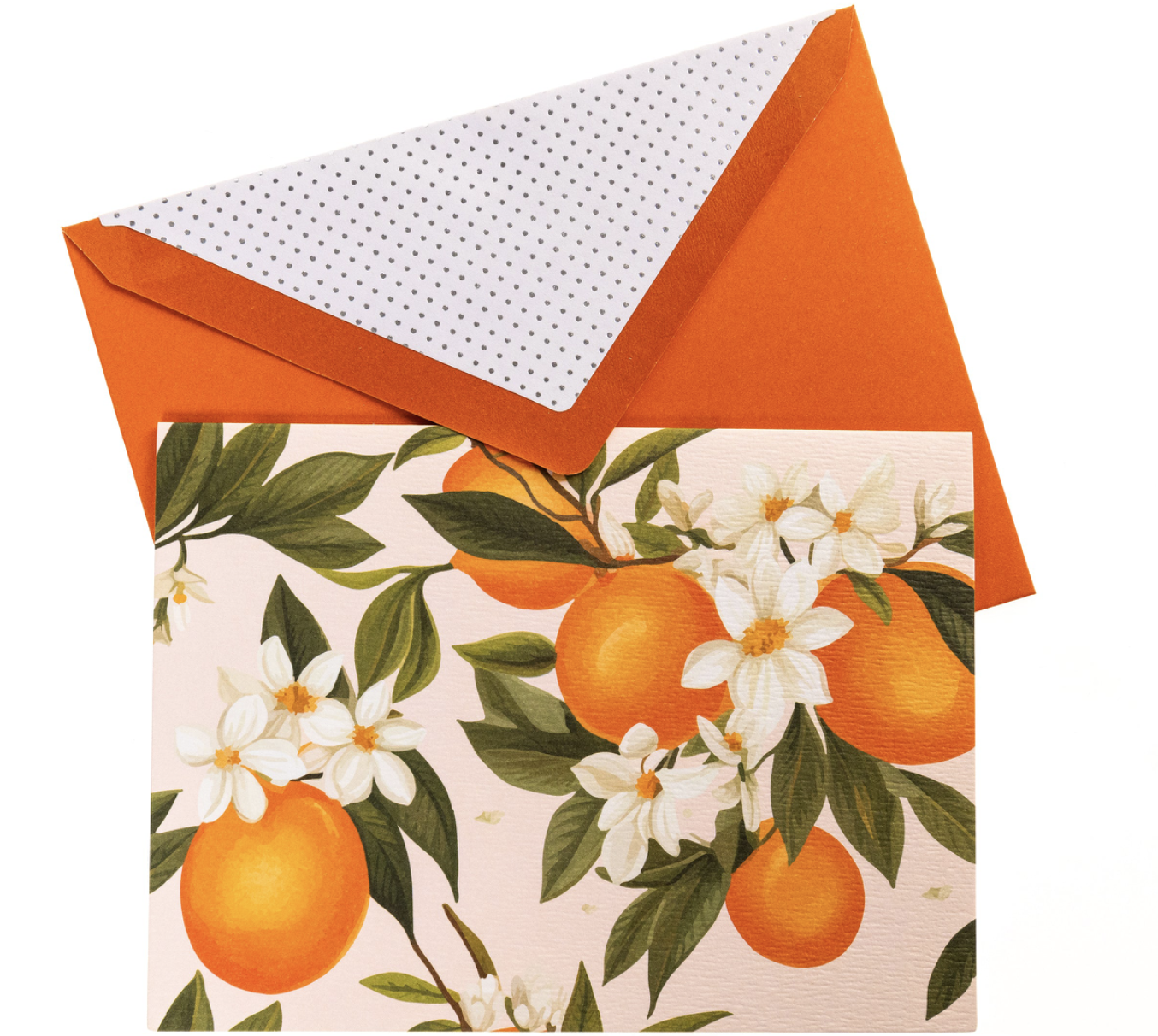 Graphique La Petite Presse L'Orange