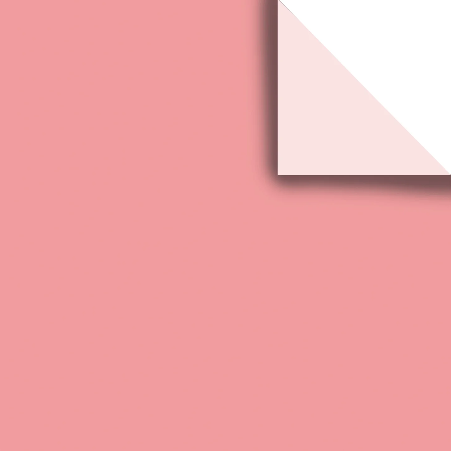 2599933e0a56b3217c247c2269bc74680afd1a6f16d7a98fe4e63224a2faf5b8.jpeg.webp
