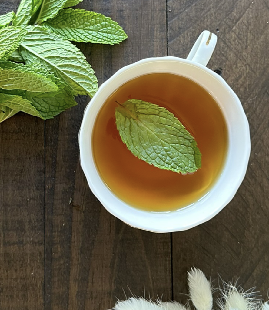 Hoboken Tea Jersey Fresh Mint 40g Pouch