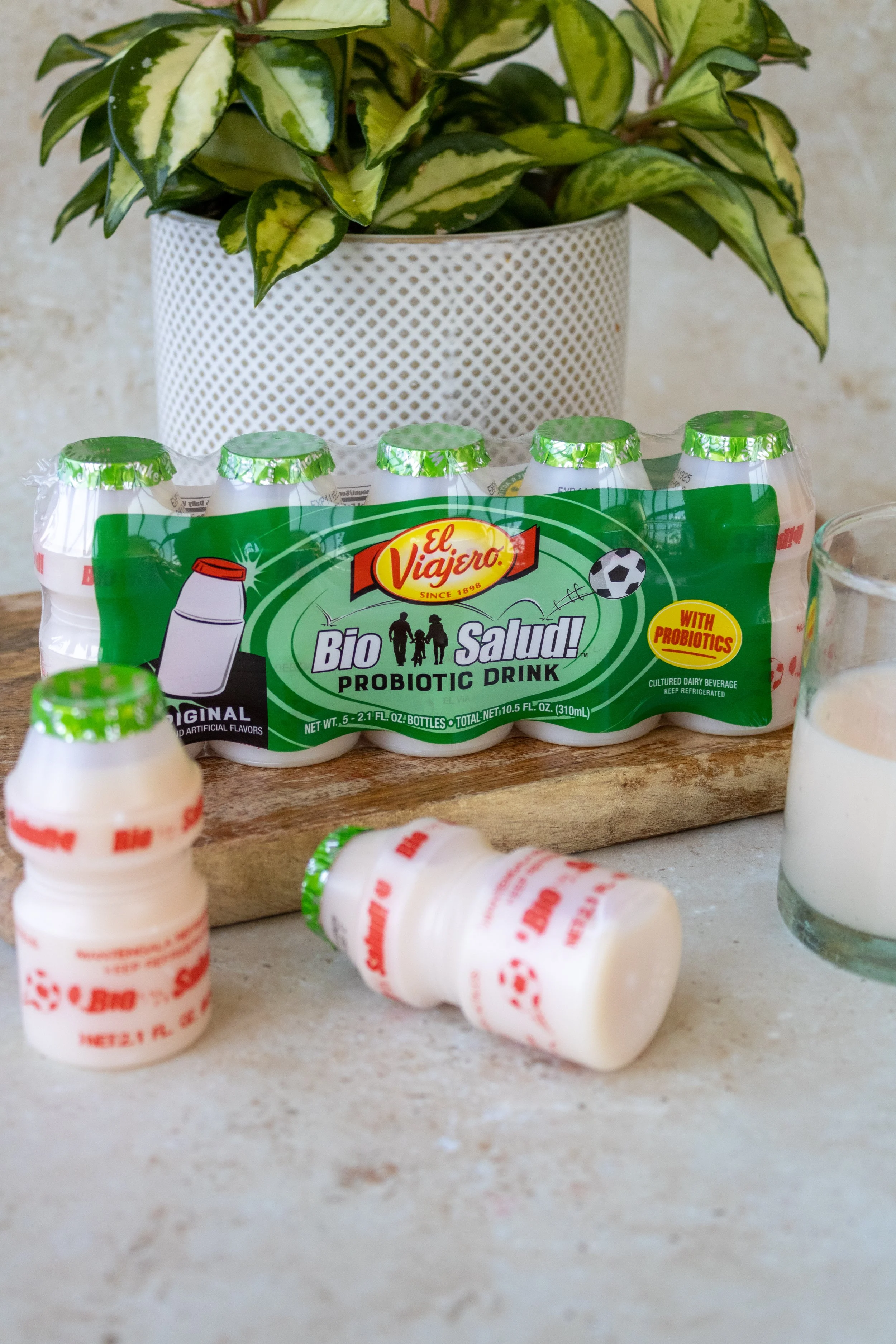 Pack of El Viajero Bio Salúd probiotic drinks on a wooden board, with some bottles lying down and a glass of milk to the right, in front of a potted plant with green and yellow variegated leaves.
