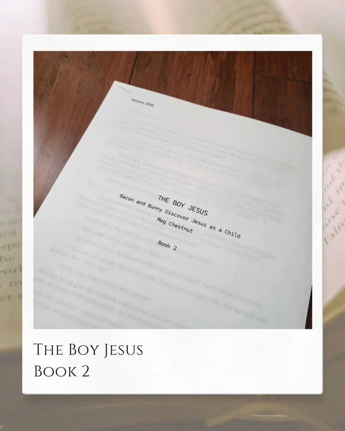 The manuscript is finished, and the sketches are underway! 📚✨️❤️

#illustratorsoninstagram #childrensbookauthor #authorlife #raisingreaders #kidlit
