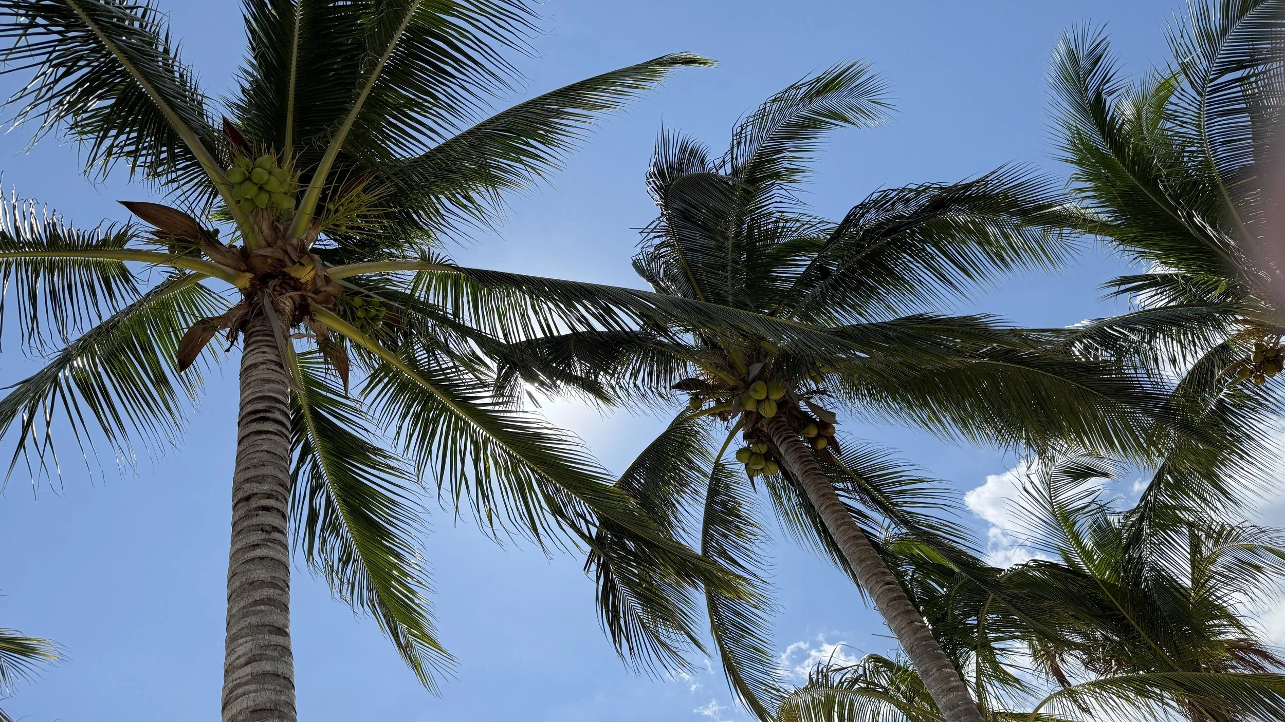 The Home Front - December 2025