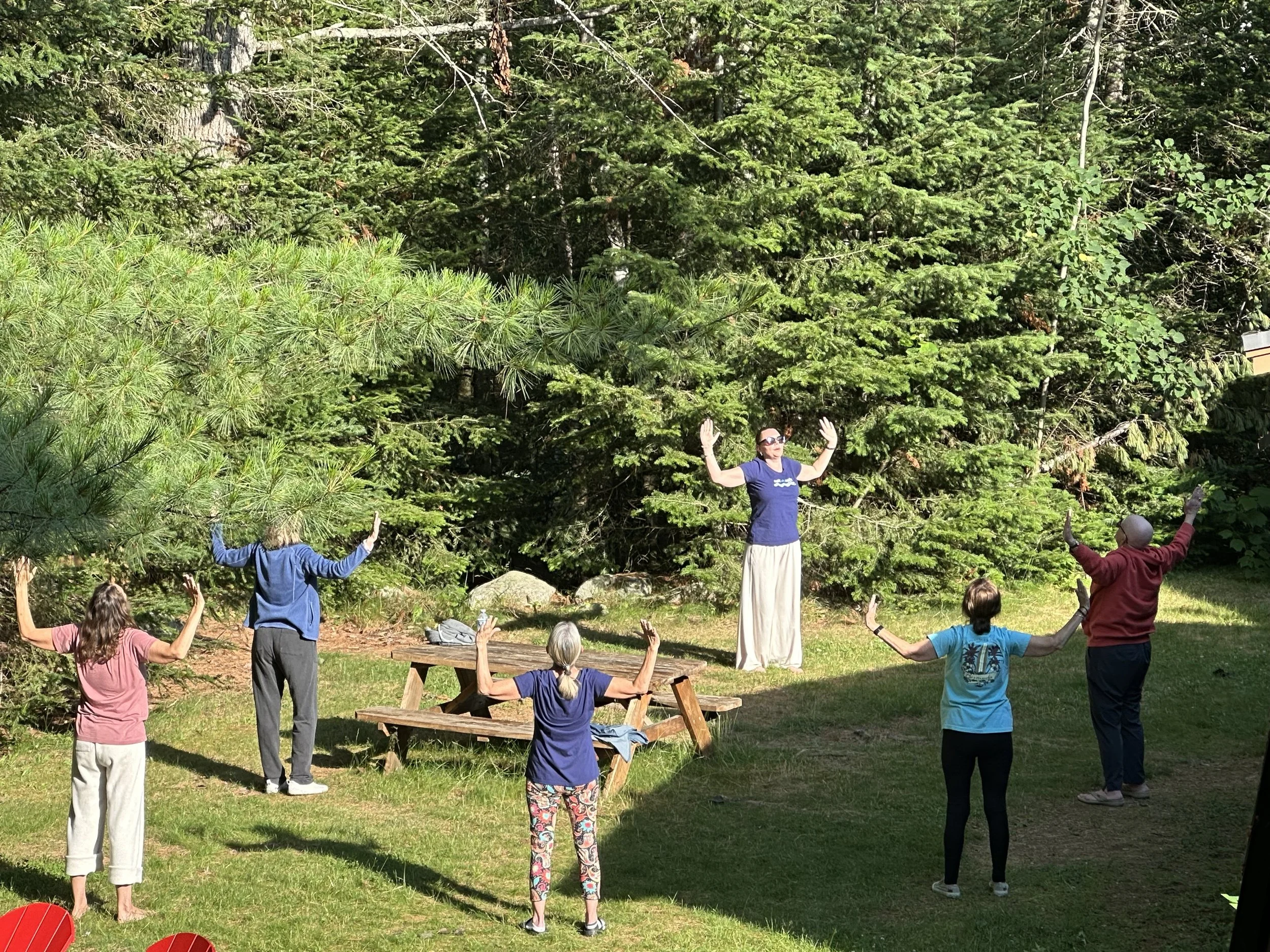 QiGong &amp; Meditation