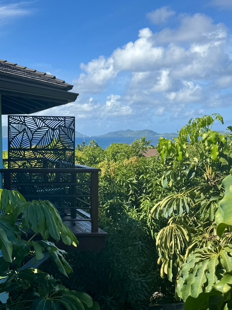 eden-waters-villa-virgin-gorda-ocean-view4.jpeg