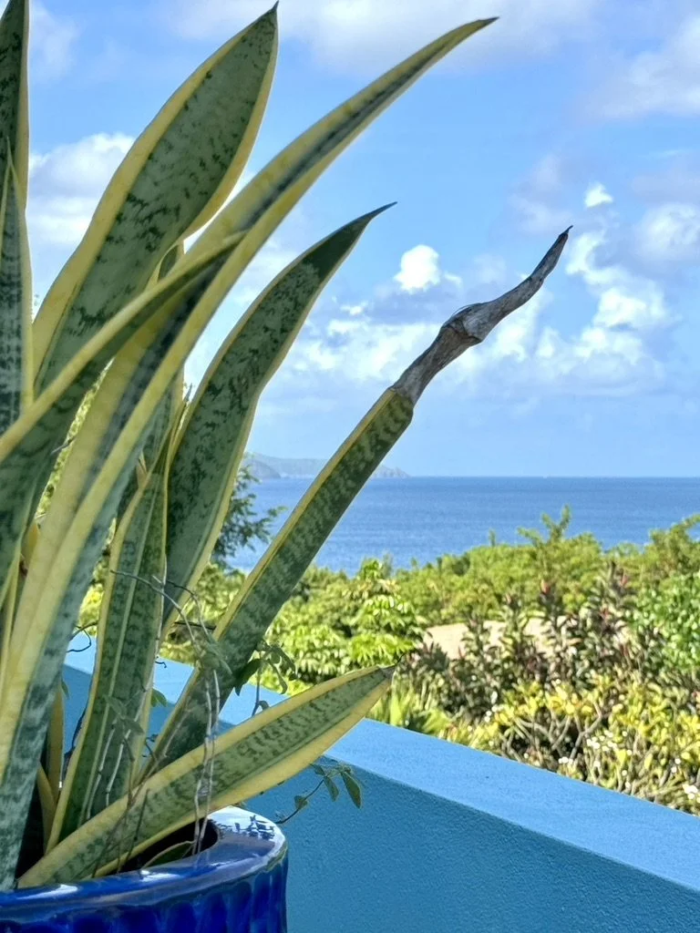 eden-waters-villa-virgin-gorda-ocean-view2.jpeg