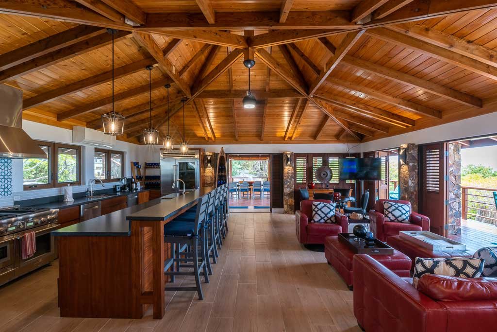 Open Kitchen, Dining and Living Spaces