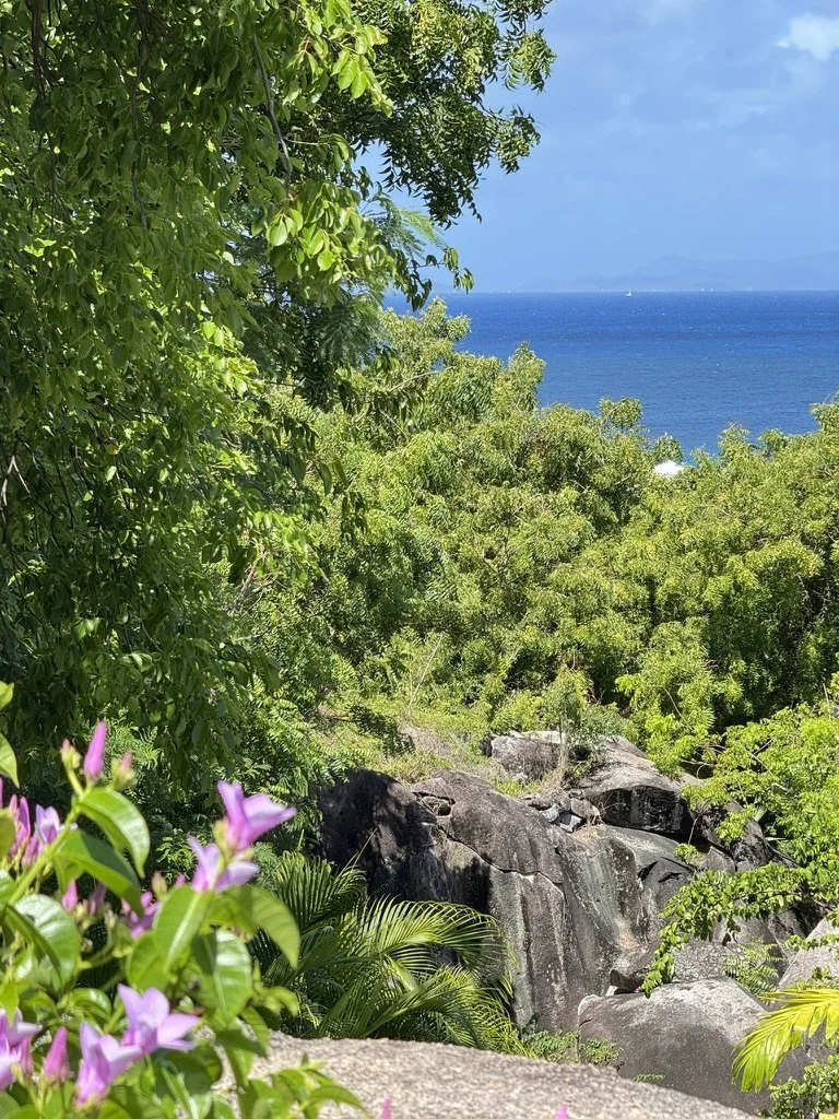 eden-waters-villa-virgin-gorda-ocean-view7.jpeg