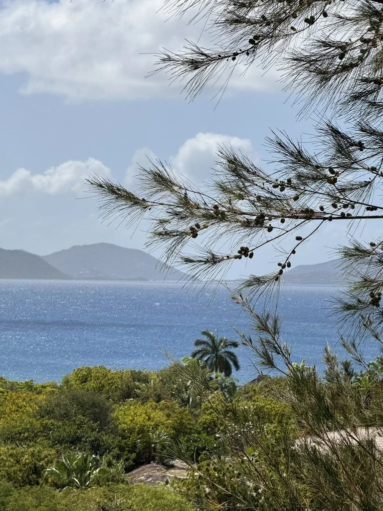 eden-waters-villa-virgin-gorda-ocean-view12.jpeg