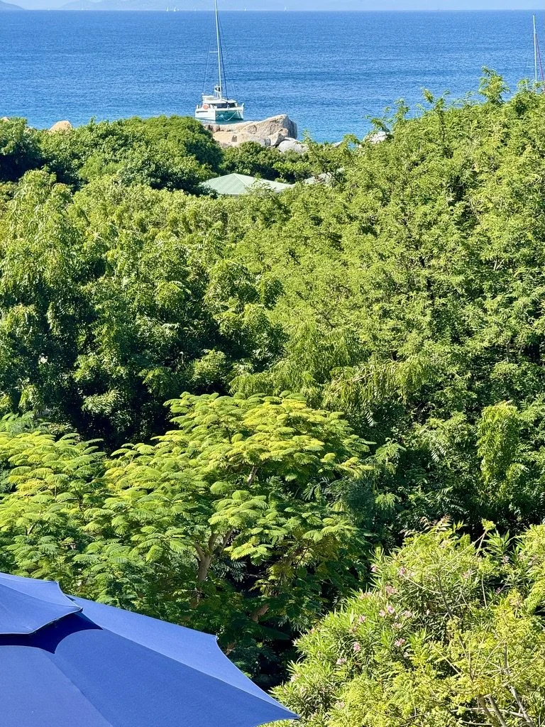 eden-waters-villa-virgin-gorda-ocean-view1.jpeg