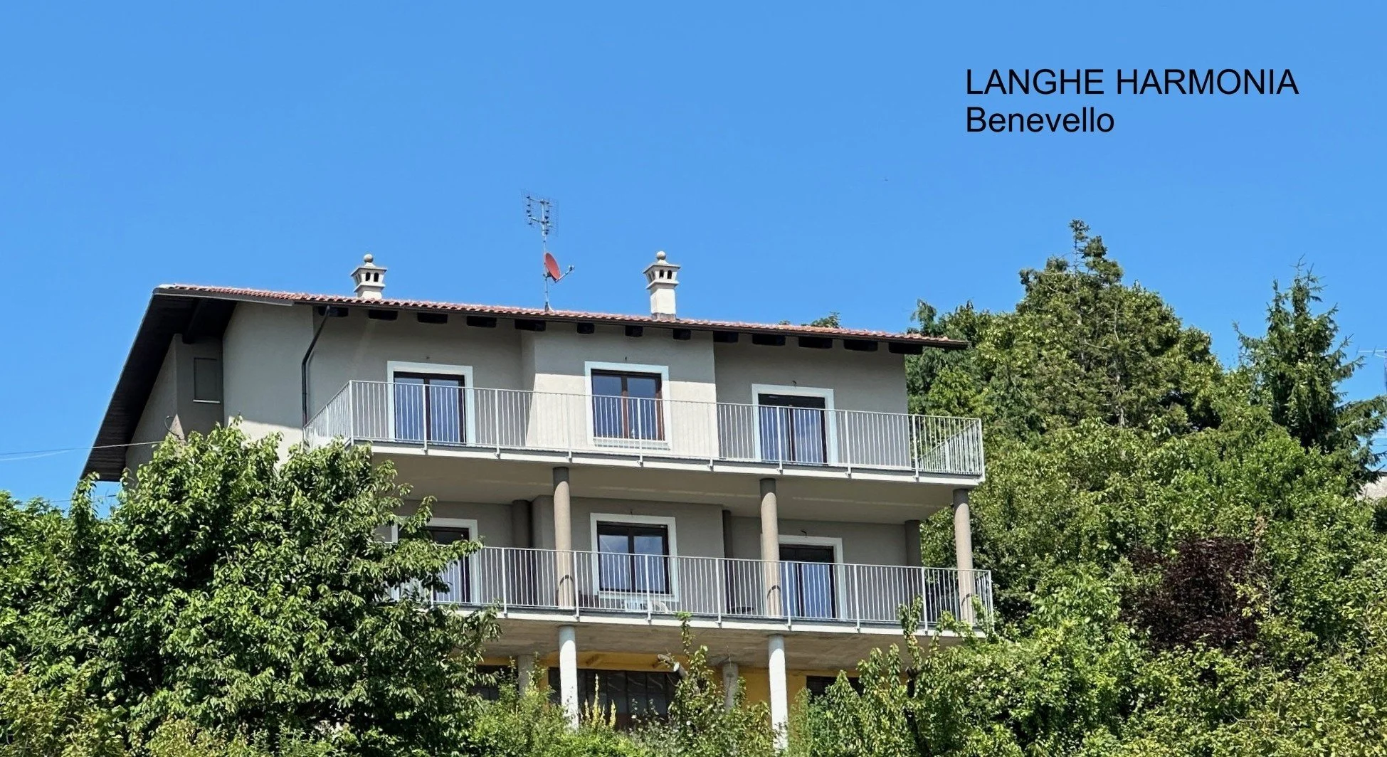 1 Benevello - ok.jpg