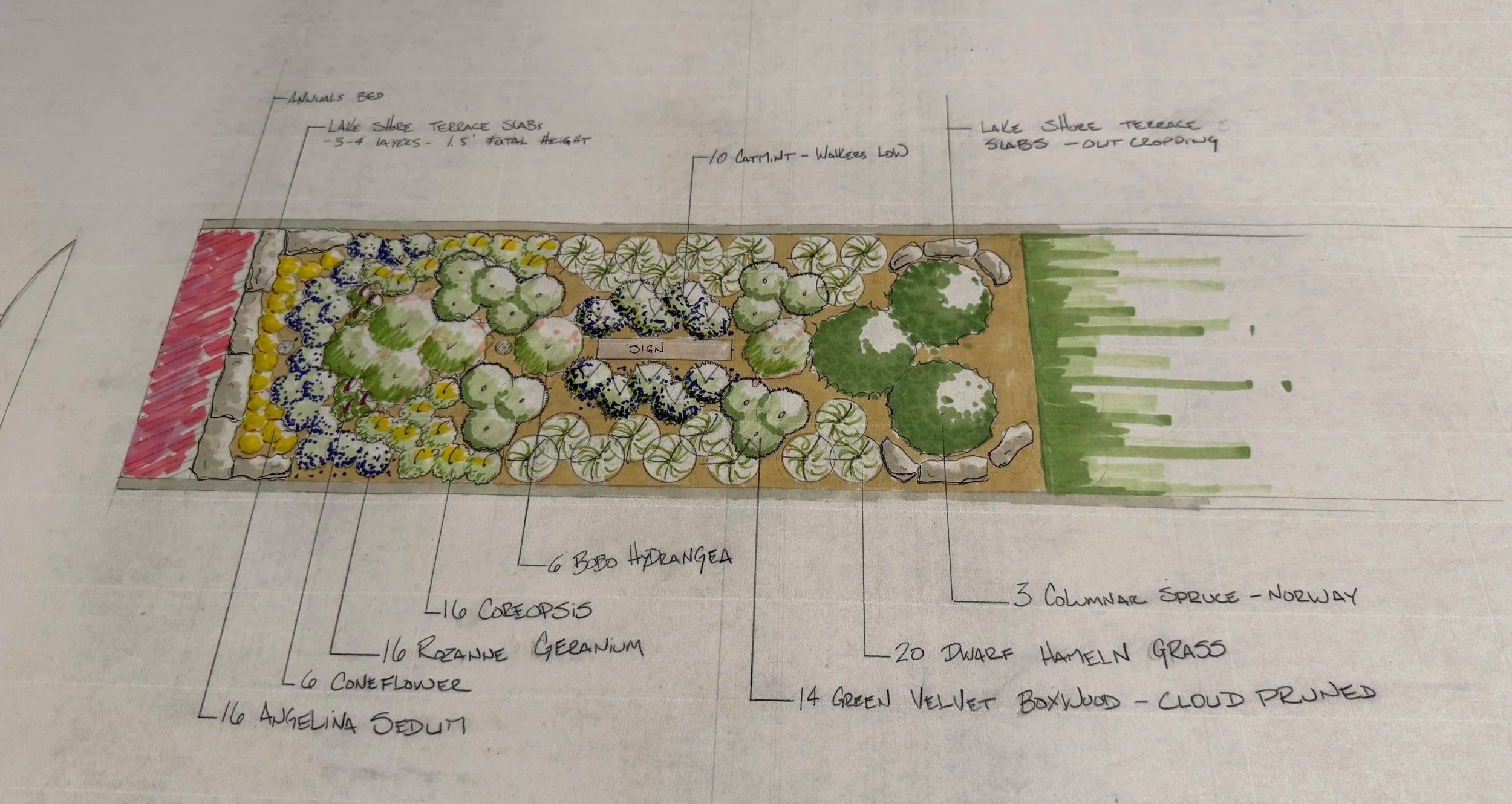 Hand-drawn landscape garden design plan with labeled sections for plants, pathways, and features, including trees, shrubs, and grass areas.