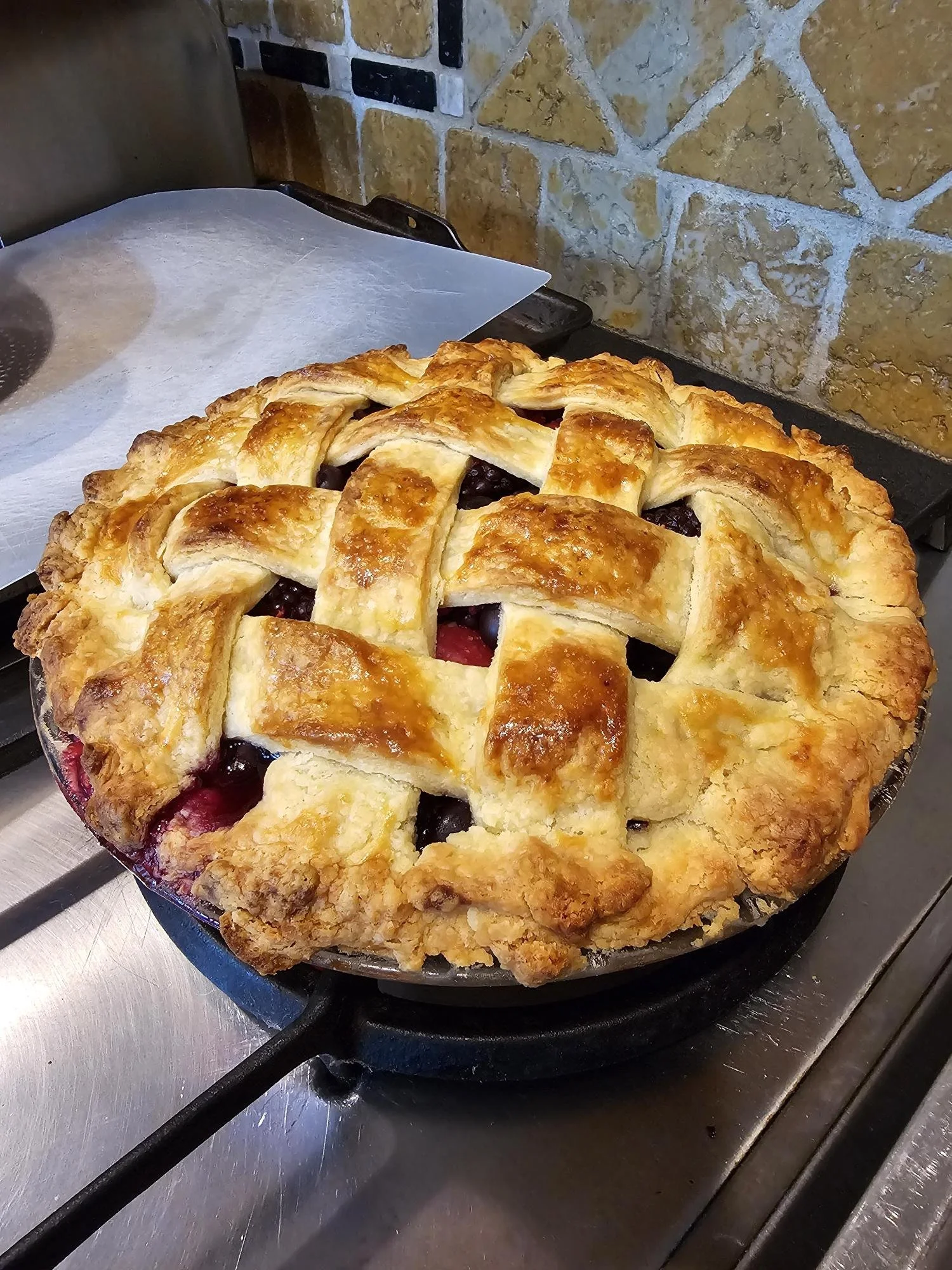 shared image (17).jpeg