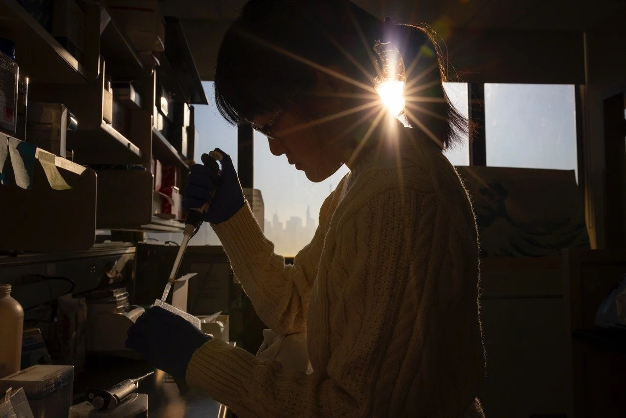 hoi tong pipetting photo.jpg