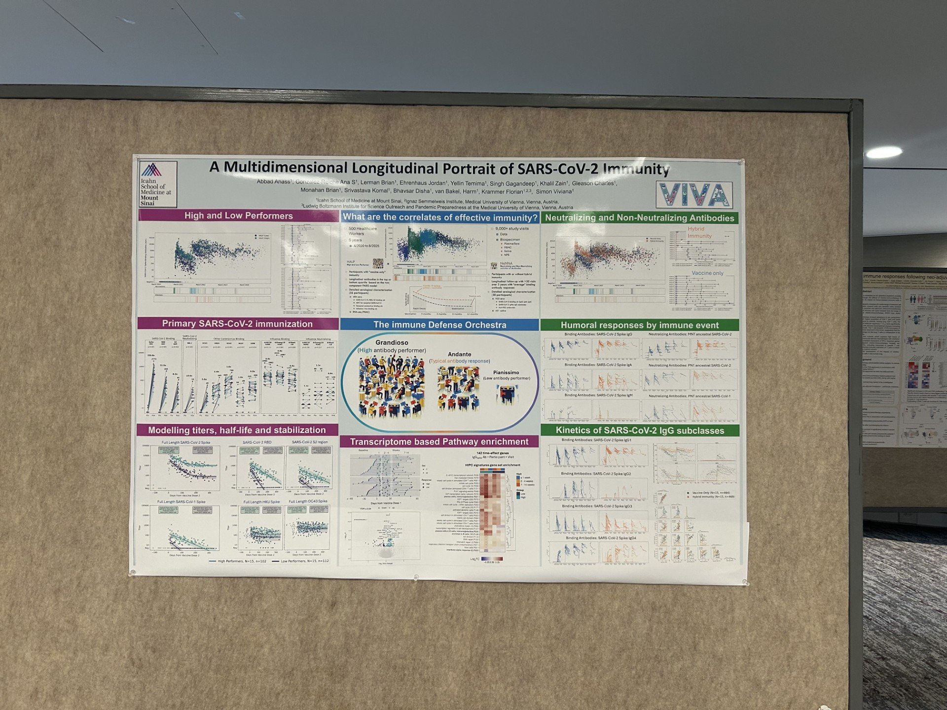 Anass poster VIVA HIPC.jpg