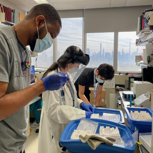 The Simon Lab