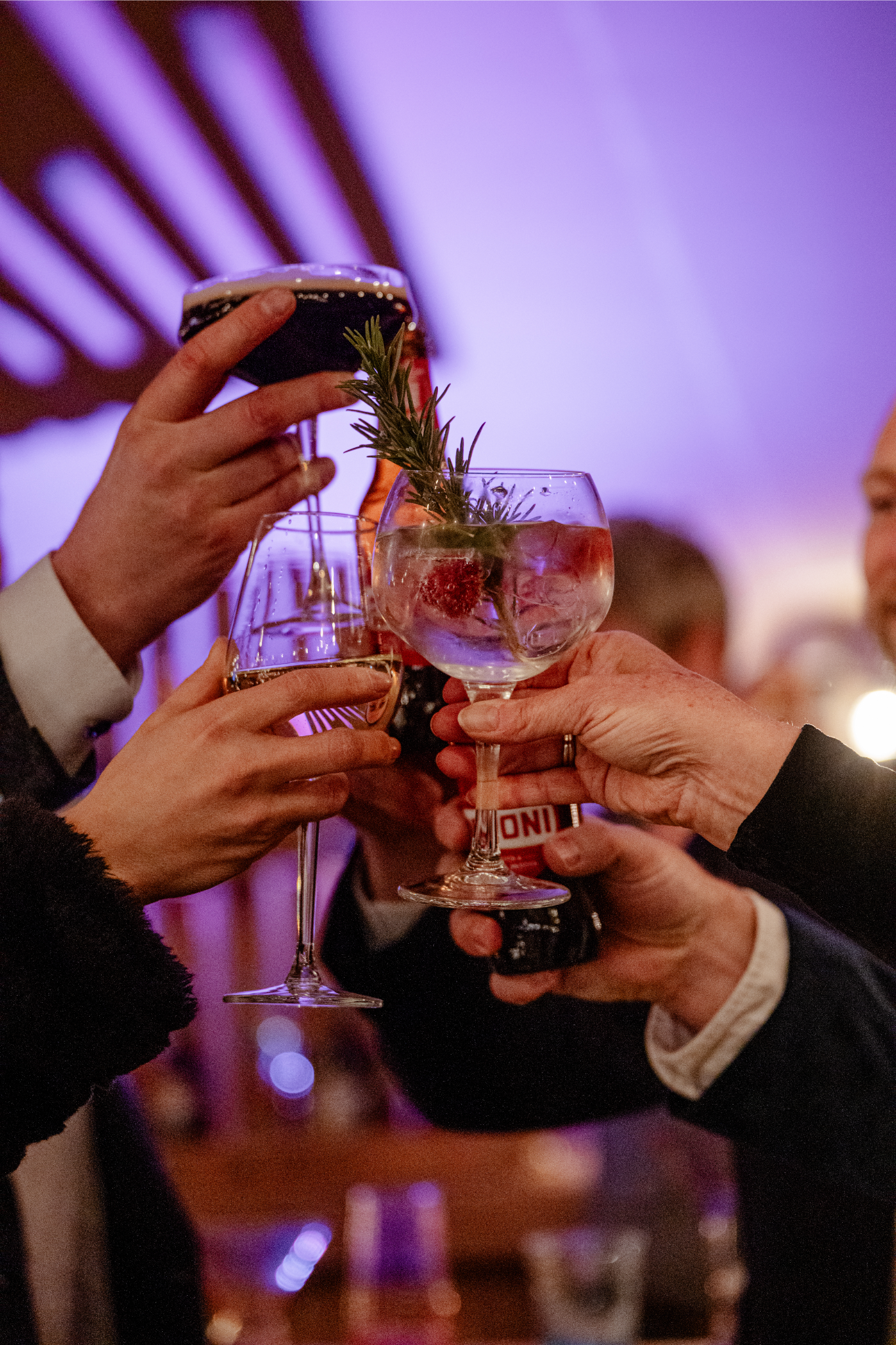 People clinking glasses during a celebration, with one drink garnished with herbs and berries