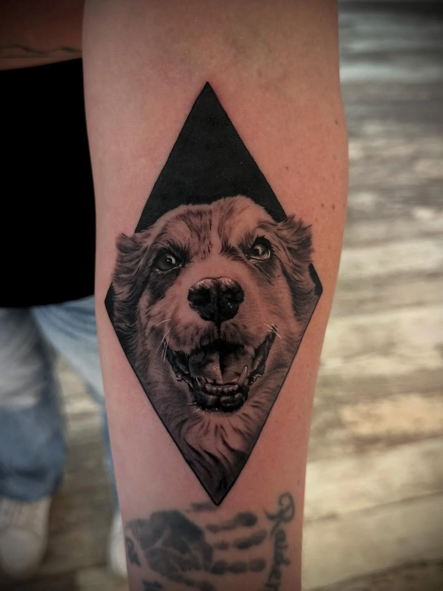 Tech.

#puppy #puppyportrait #dog #dogportrait #dogtattoo #black #blackandgrey #blackandgreyrealism #blackandgreytattoo #arm #armtattoo #memorial #memorialtattoo #bestfriend #fyp #tattoosnob #inked #ink #hustlebutterdeluxe #yckth #fkirons #pantherain