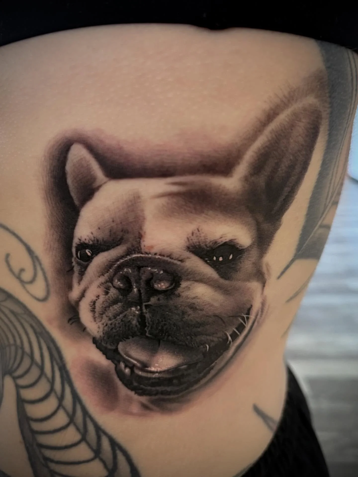 Puppy portrait for my very talented friend @katie.tattoos 

#puppy #puppyportrait #ribs #ribtattoo #black #blackandgreytattoo #blackandgreyrealism #realism #portrait #portraittattoo #mansbestfriend #fyp #tattoosnob #fkirons #hustlebutterdeluxe #yckth