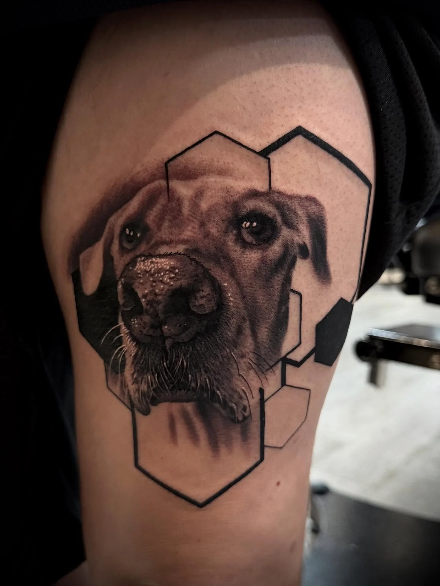 Equinox.

#puppyportrait #memorial #memorialtattoo #blackandwhite #blackandgrey #blackandgreyrealism #realismtattoo #puppy #dogportrait #geometric #geometrictattoo @fyp @tattoosnob