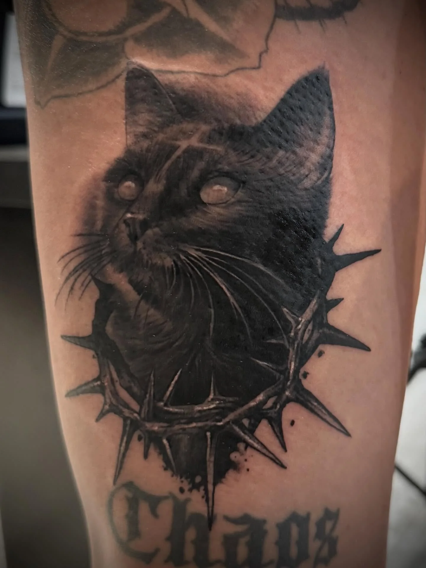 Demon Kitty for @taylor94leigh 

#cattattoos #demoncat #thightattoo #blackandgreytattoos #horrortattoo