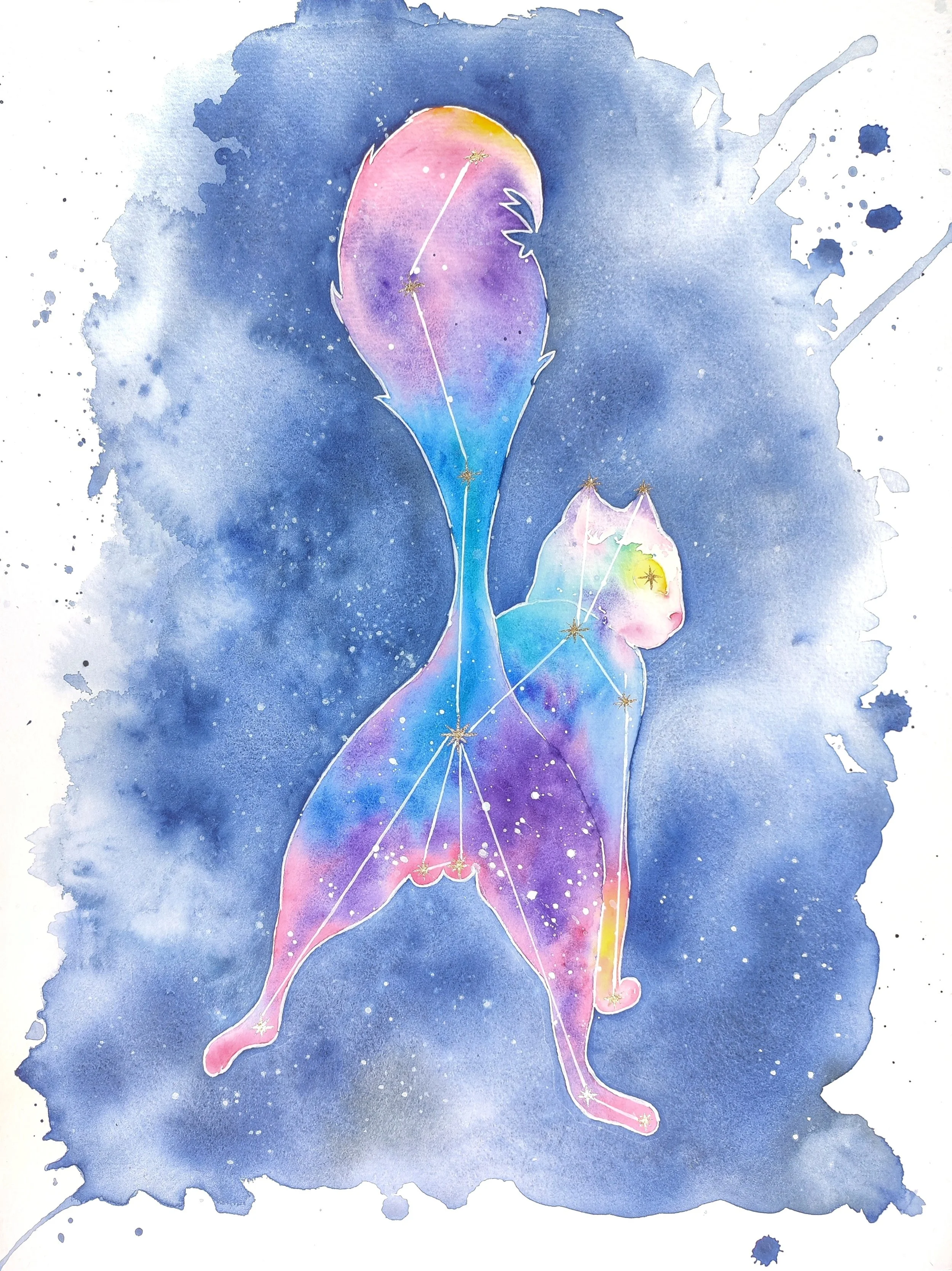 The Cat Constellation