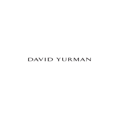 Image of the book cover for 'Blood of the Tigress' by David Yurman, featuring a black background and stylized metallic text.