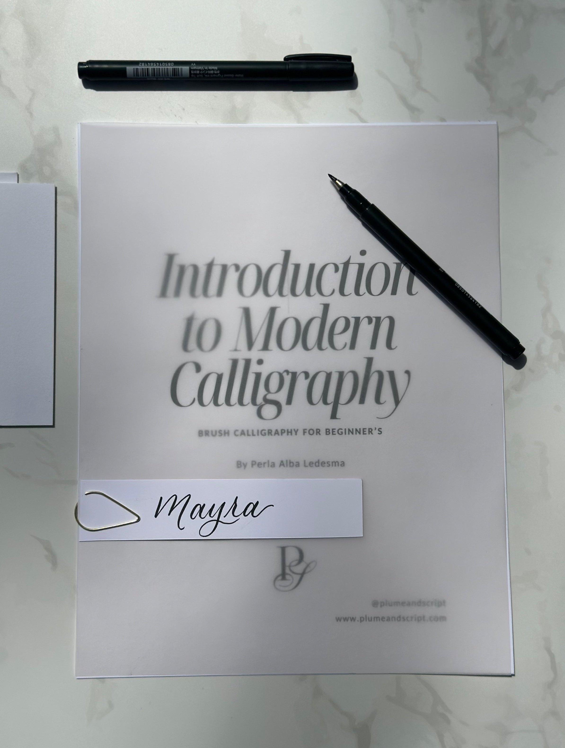 Chicago+Modern+Calligraphy+Brush+Lettering+Workshop.jpg