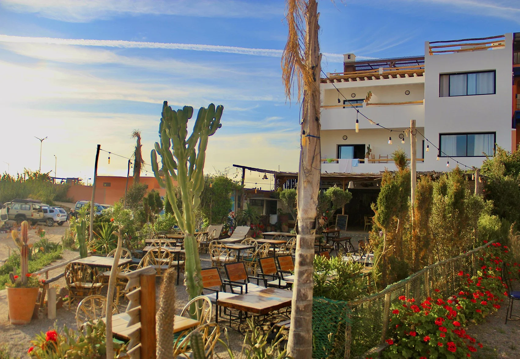 Olo surf & nature. Outdoor patio with wooden and metal chairs, tables, tall green cactus, and string lights, with modern white residential buildings in the background under a partly cloudy sky.