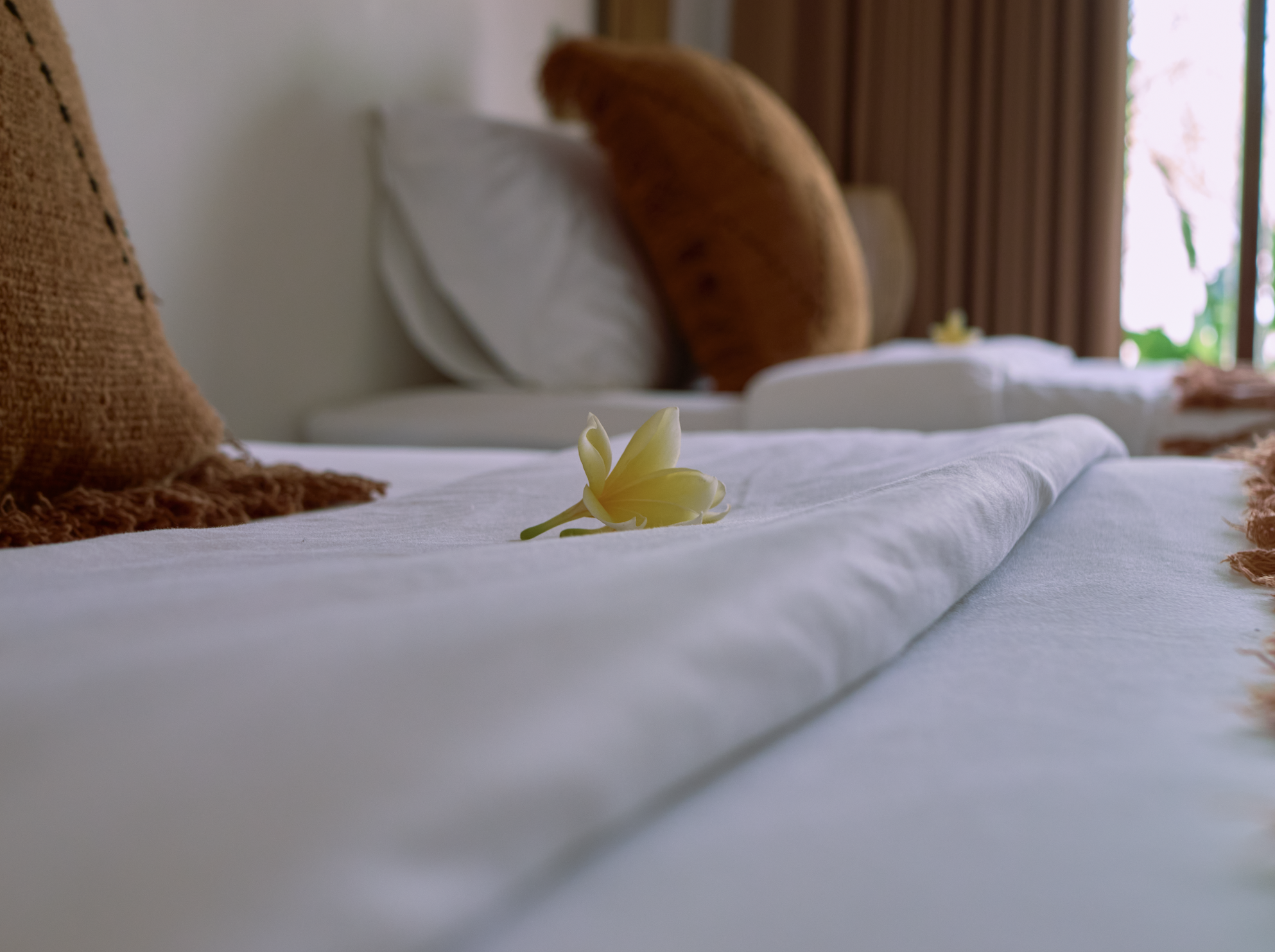 Olo surf & nature. A close-up view of a neatly made bed with white sheets, a yellow flower resting on the bed, and pillows in shades of brown, with a bedroom window and curtains in the background.