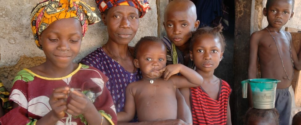 Large Paired Institutional Partnership (LPIP) Grant