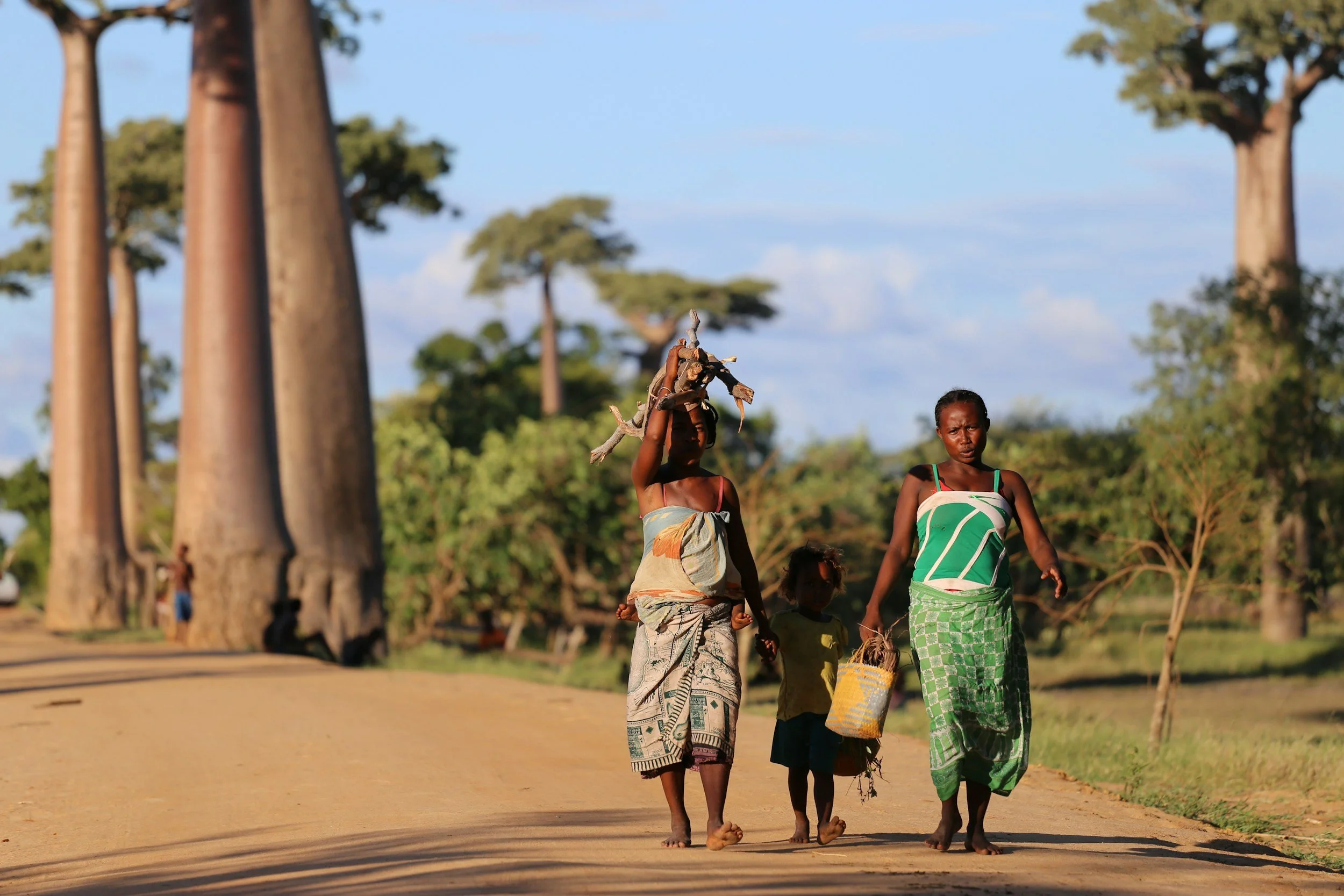 Group of three women and a child walking on dirt road with tall trees and blue sky in background, one woman is carrying wood on her head, the other woman holds a basket, and the child holds a basket.