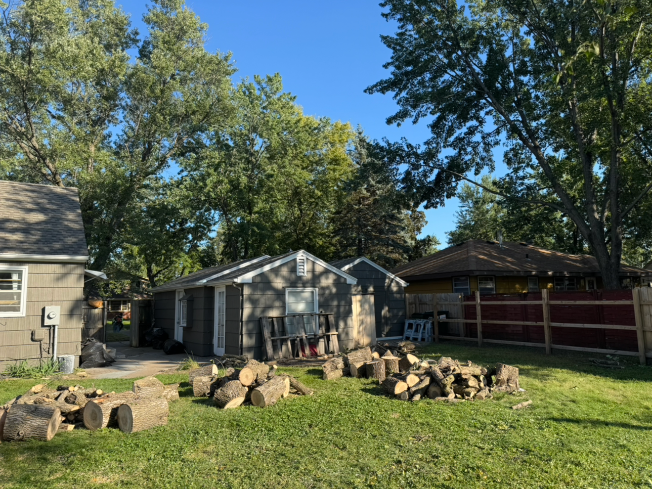 Backyard with chopped firewood and houses surrounded by trees on a sunny day.