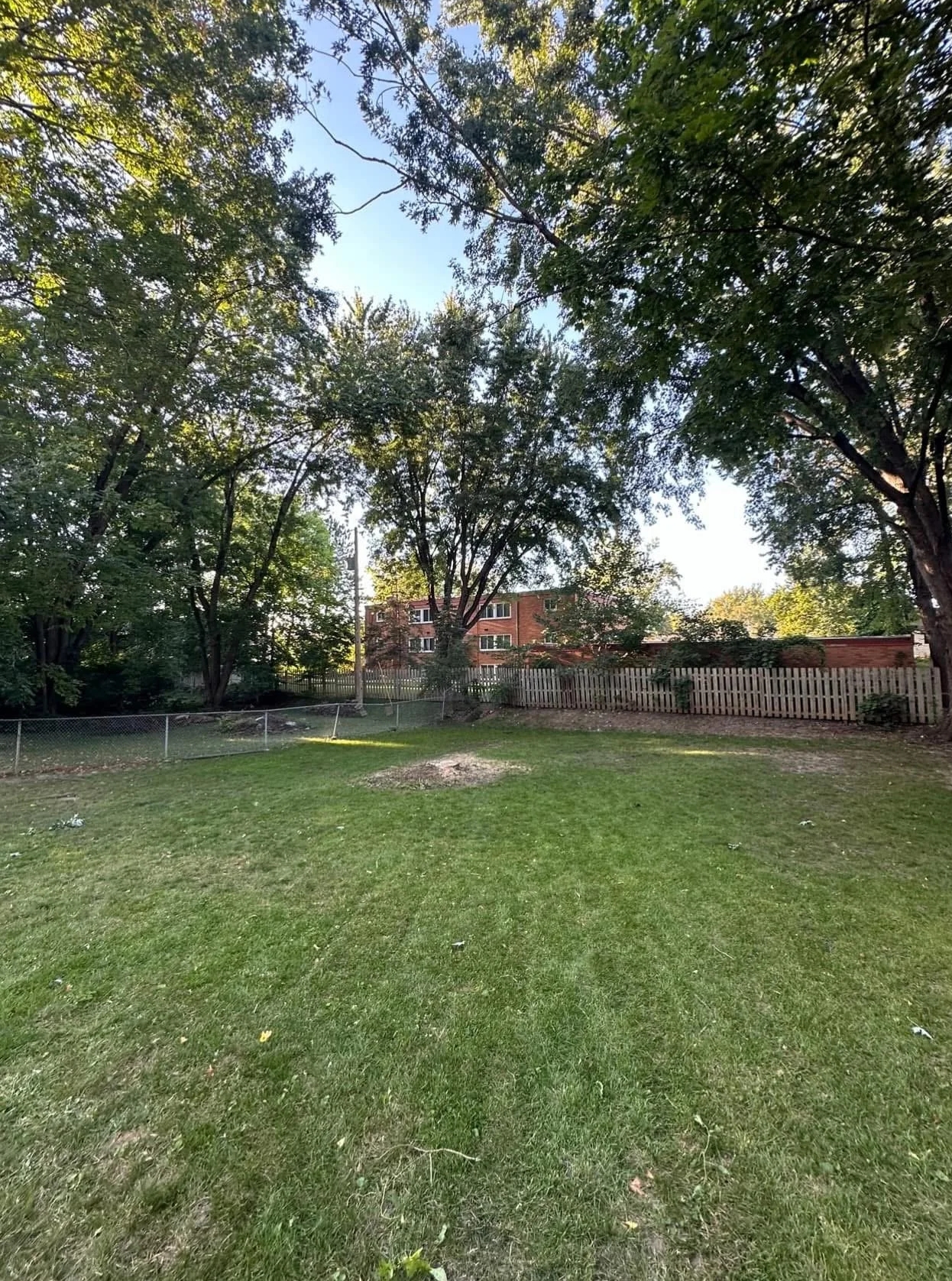A backyard with green grass, large trees, a wooden fence, and a multi-story brick building in the background, all under a clear blue sky.