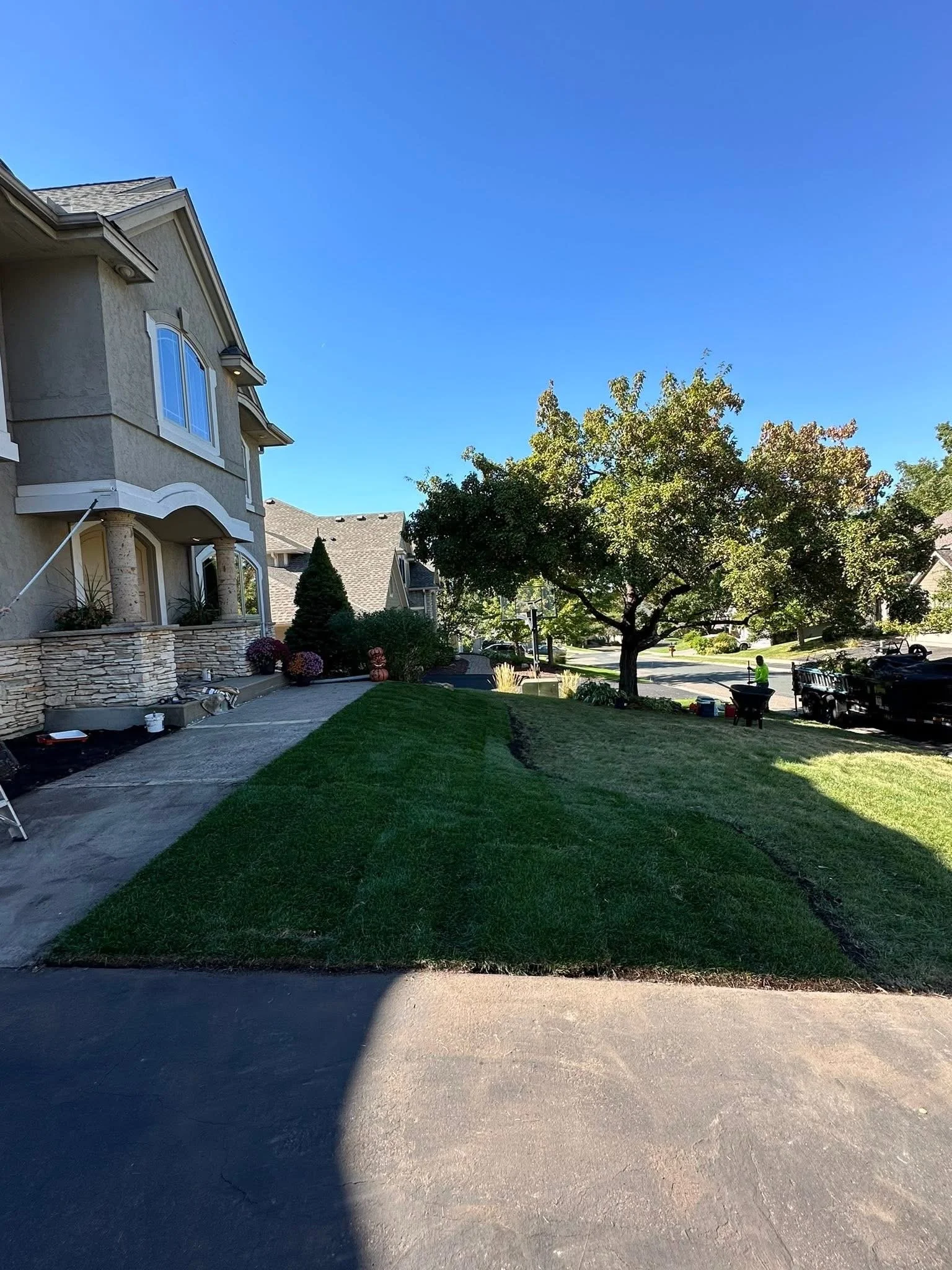 A neatly mowed front lawn with freshly laid sod in front of a beige house, a large tree providing shade, and a neighbor working outside with tools and equipment.