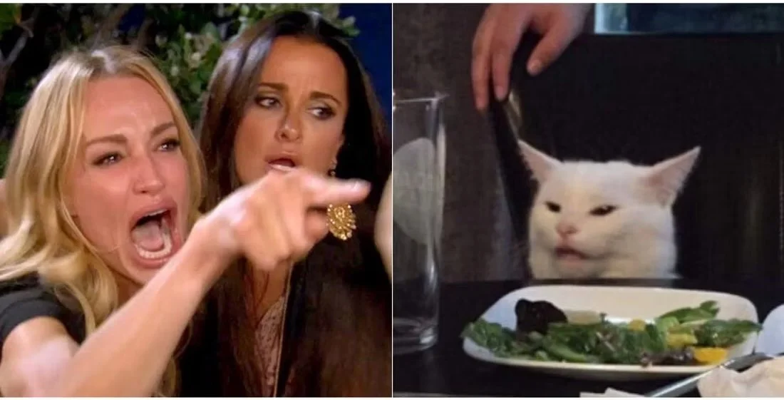 Meme Culture: The Destruction of Youth Through Irony