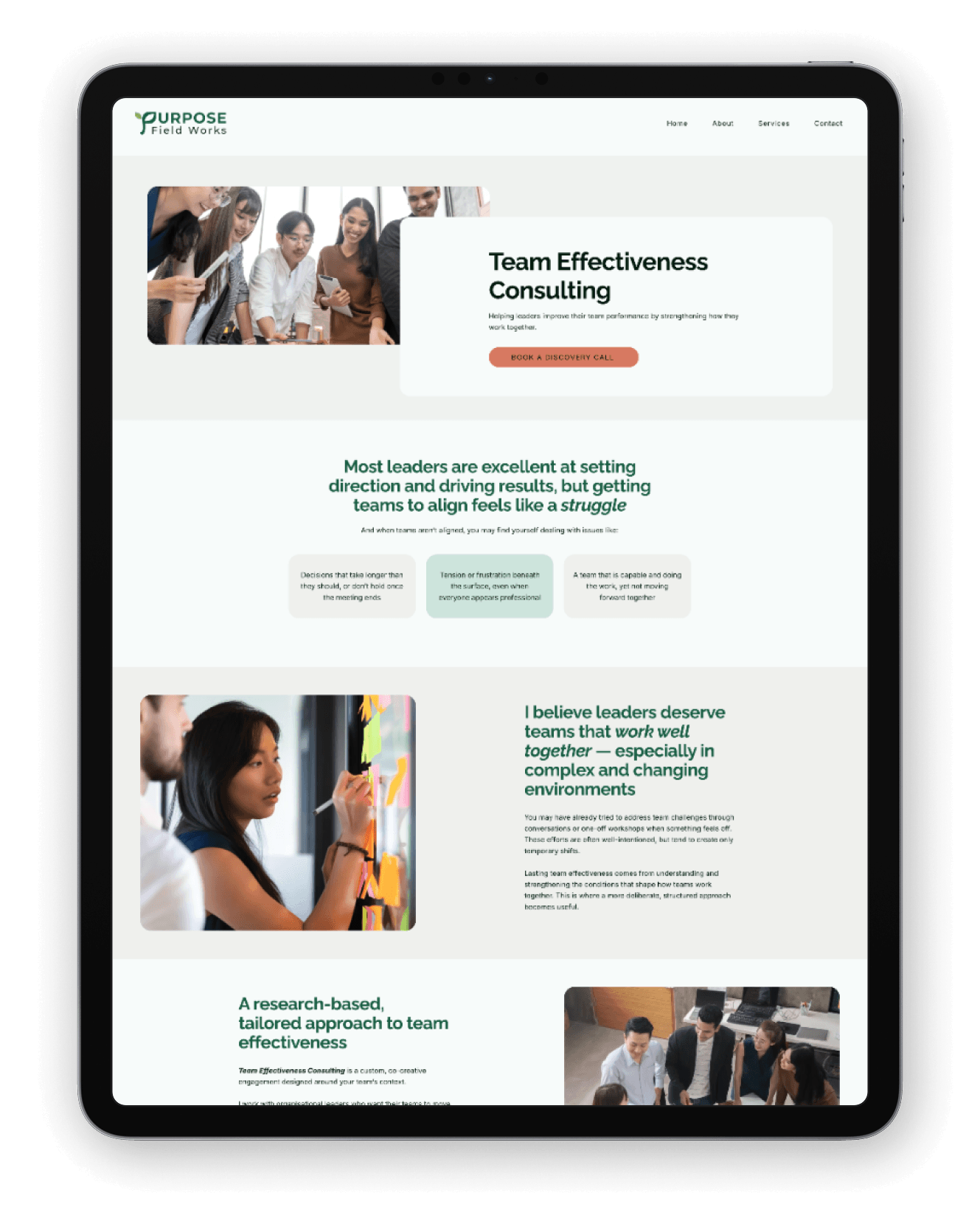 Website sales page after