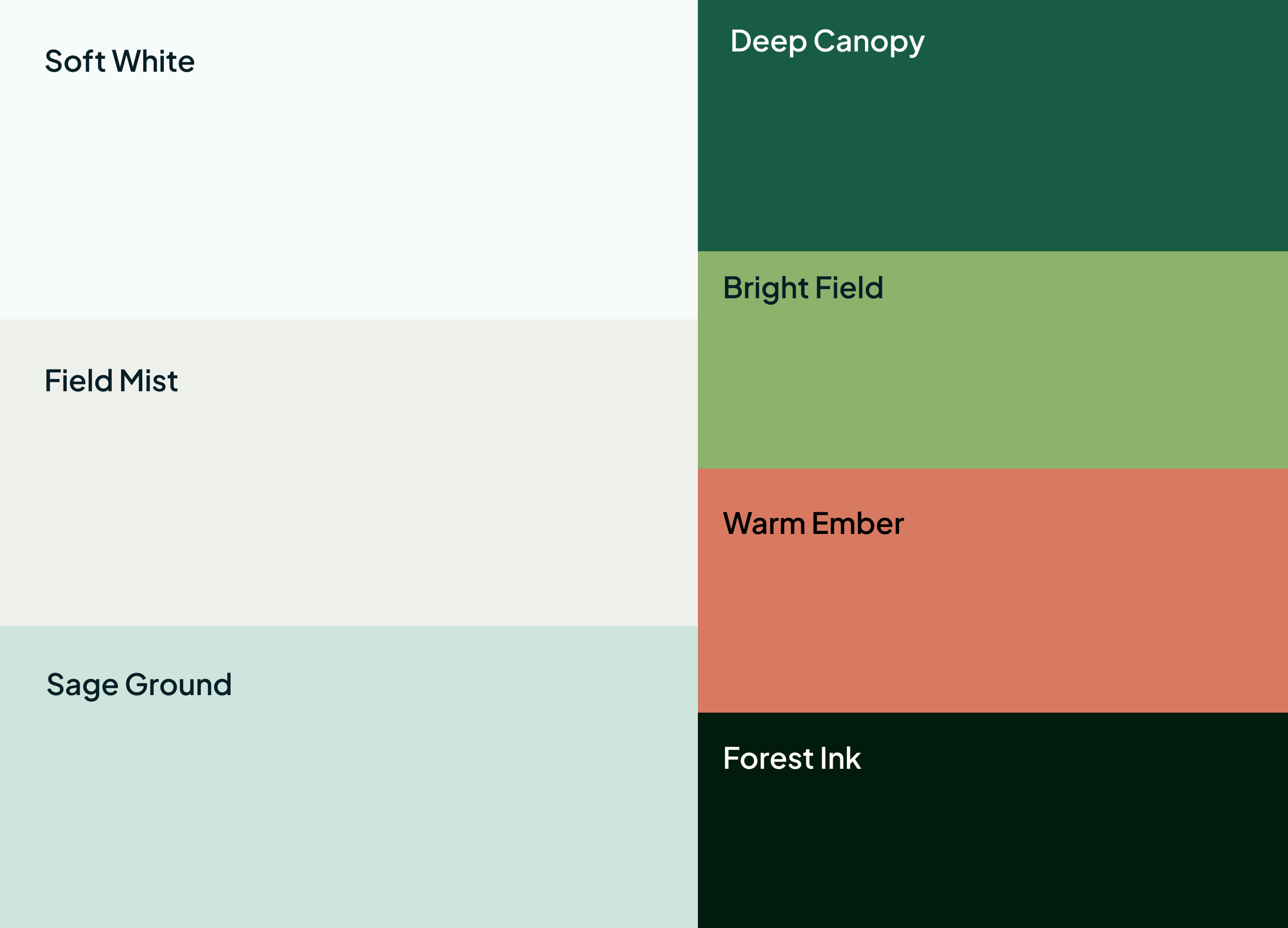 Color palette used for Purpose Field Works showing a grounded, nature-inspired colour palette