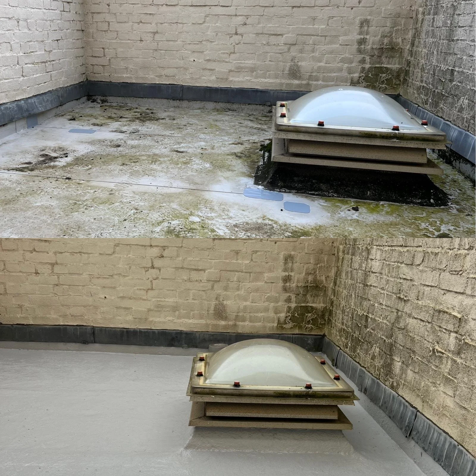 WhatsApp Image 2025-05-15 at 14.07.21.jpeg