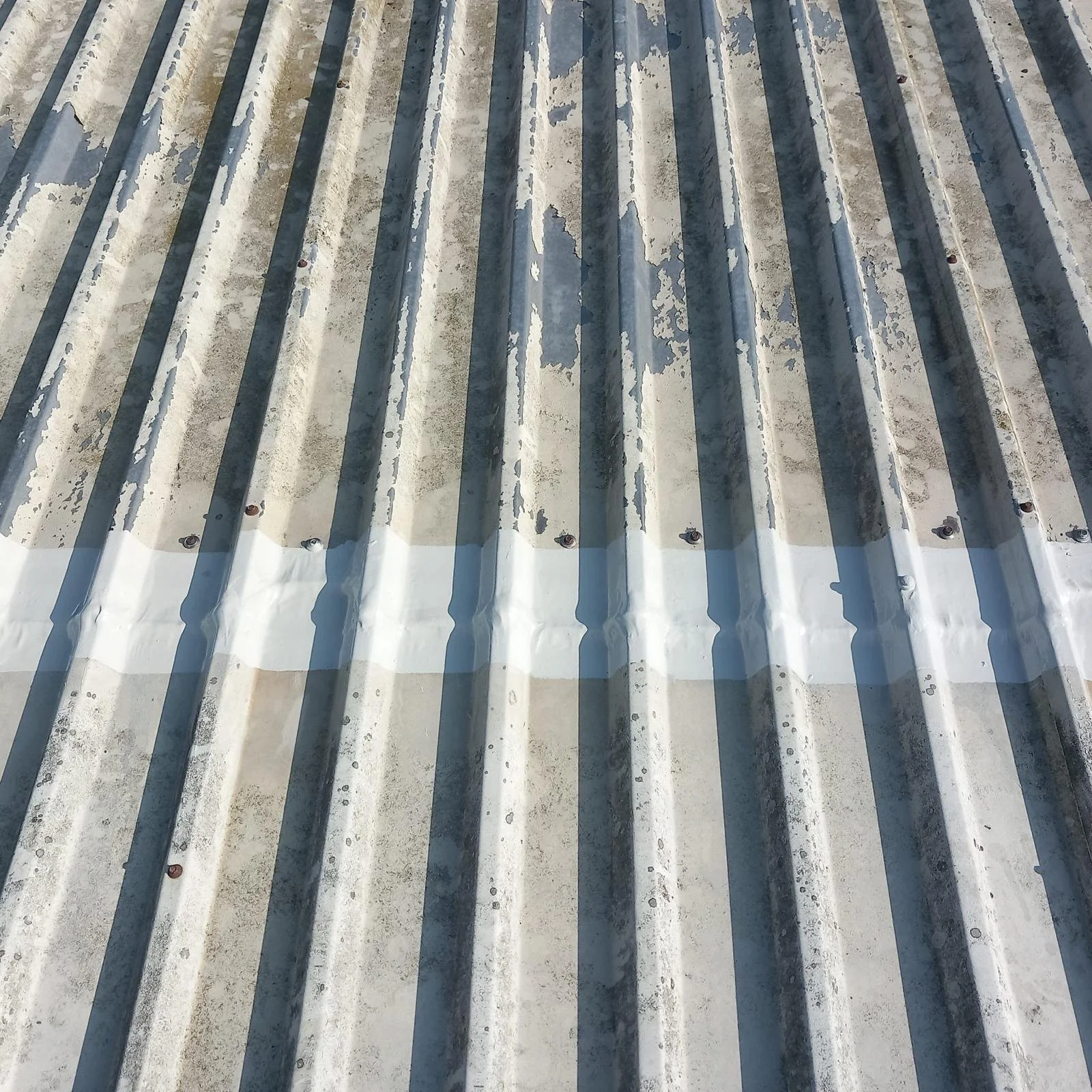 WhatsApp Image 2025-05-15 at 15.20.05 (1).jpeg