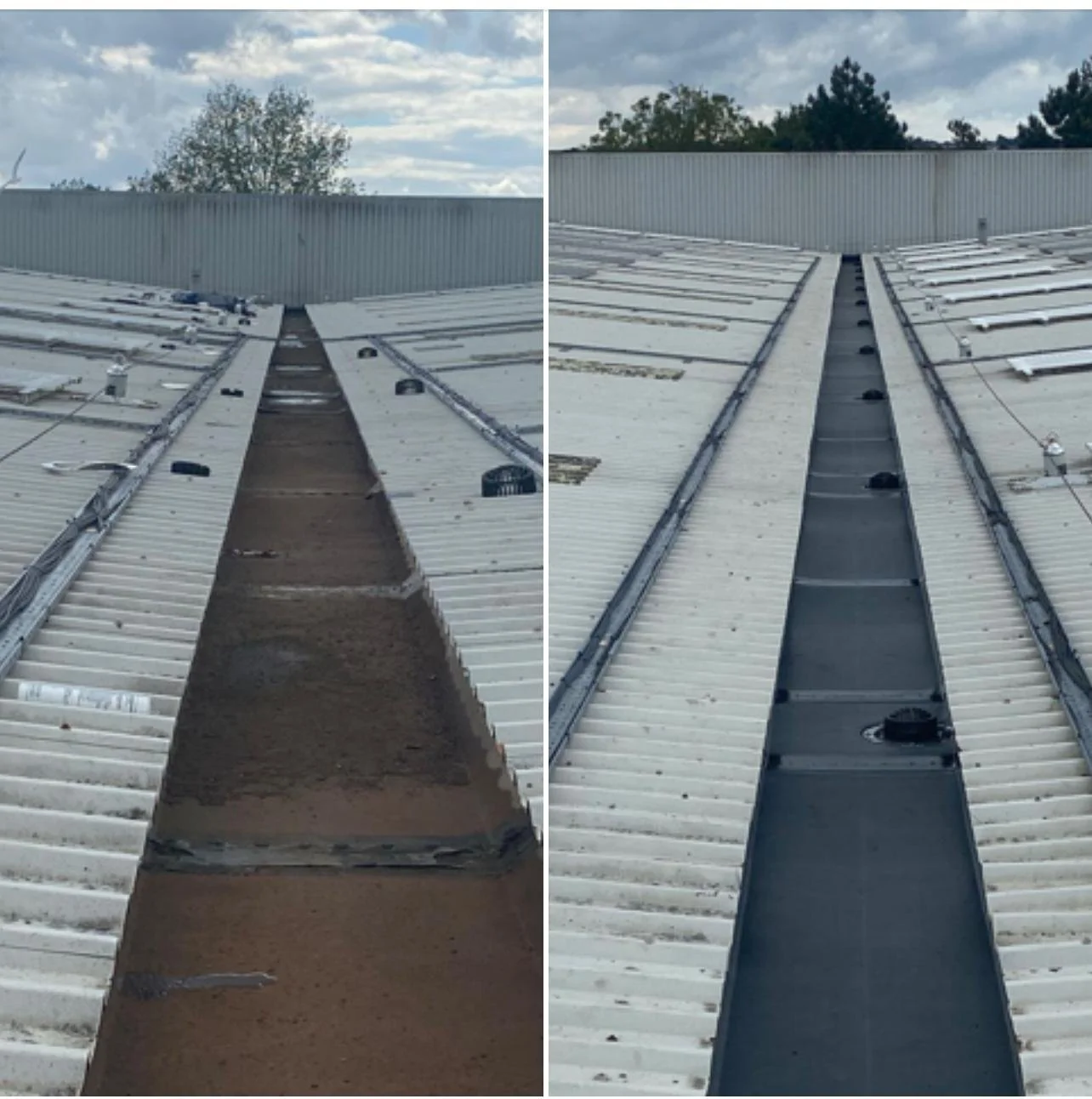 WhatsApp Image 2025-05-15 at 16.00.11.jpeg