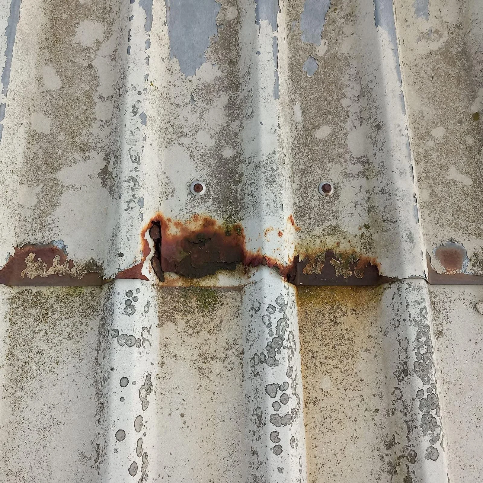 WhatsApp Image 2025-05-15 at 15.20.05 (2).jpeg