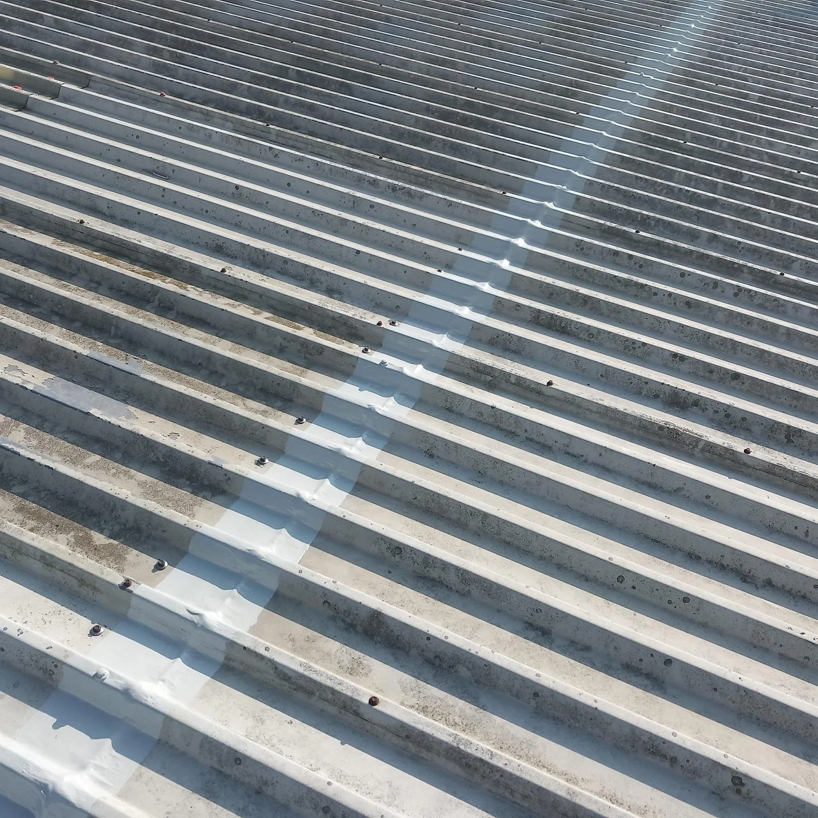 WhatsApp Image 2025-05-15 at 15.20.05.jpeg