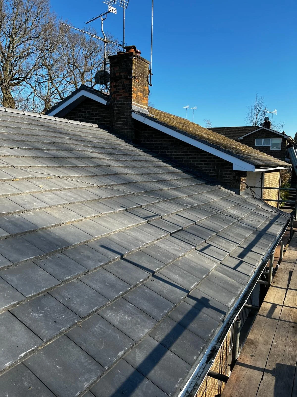 WhatsApp Image 2025-05-15 at 16.21.16.jpeg